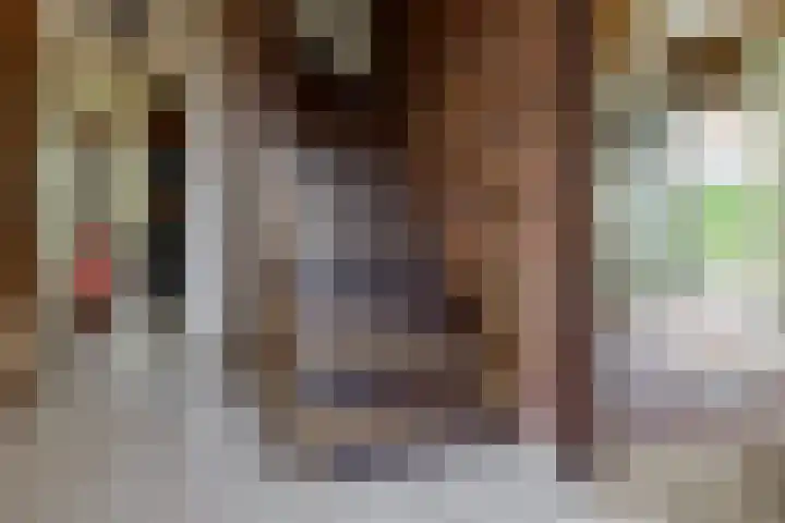 Kerkstraat 4 a Vriezenveen thumbnail 38