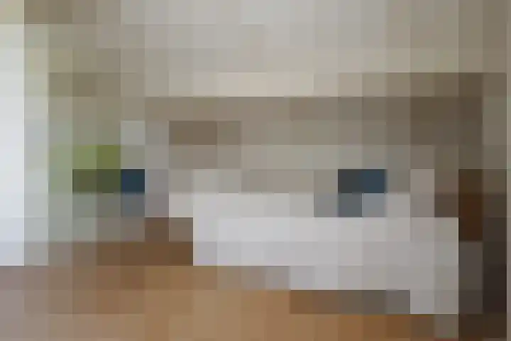 Kerkstraat 4 a Vriezenveen thumbnail 41