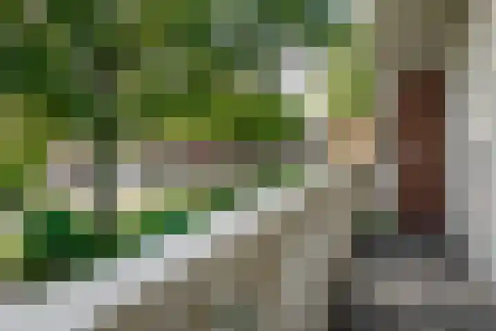 Kerkstraat 4 a Vriezenveen thumbnail 53