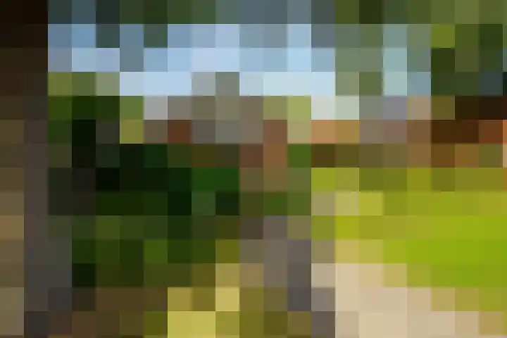 Kerkstraat 4 a Vriezenveen thumbnail 6