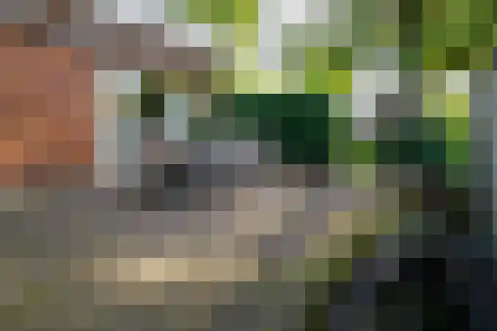 Kerkstraat 4 a Vriezenveen thumbnail 62