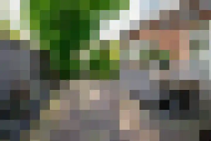 Kerkstraat 4 a Vriezenveen thumbnail 63