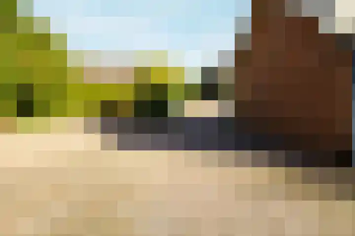 Kerkstraat 4 a Vriezenveen thumbnail 66