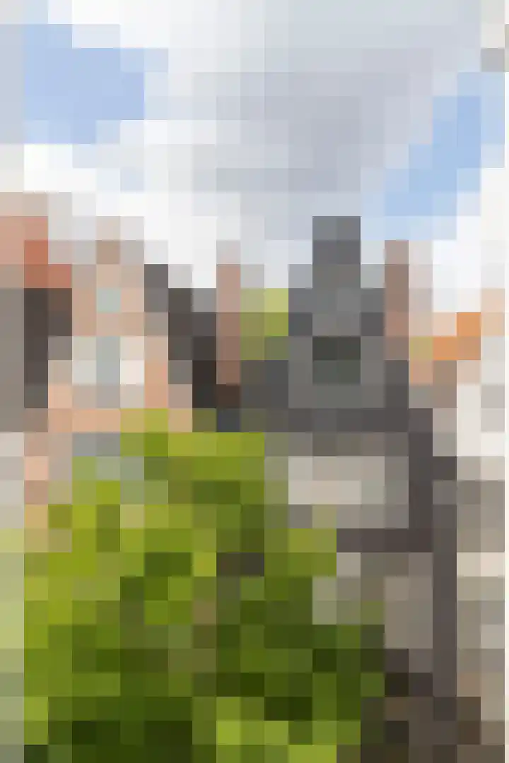 Kerkstraat 4 B Amsterdam thumbnail 25