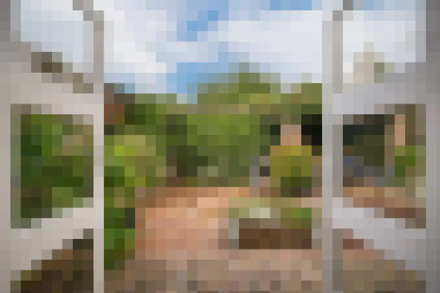 Kerkstraat 4 Batenburg thumbnail 21