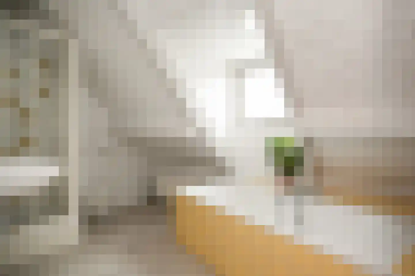 Kerkstraat 4 Batenburg thumbnail 34