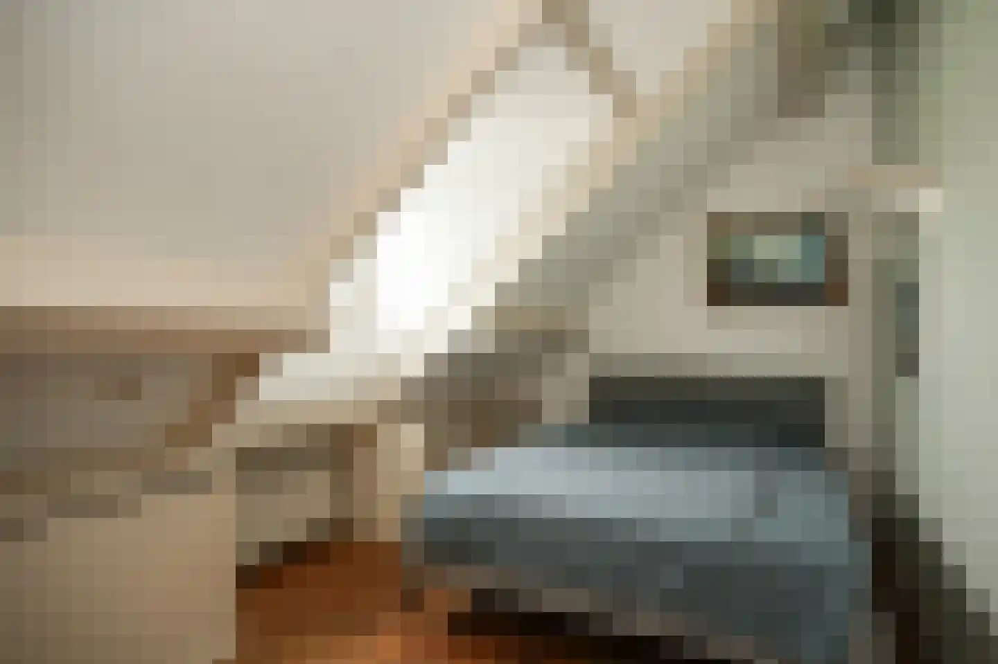 Kerkstraat 4 Batenburg thumbnail 36