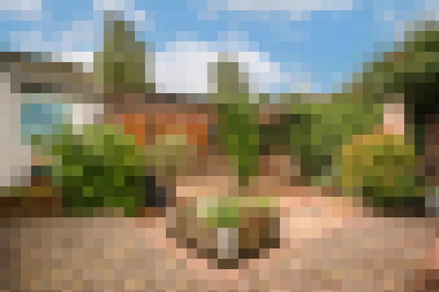 Kerkstraat 4 Batenburg thumbnail 46