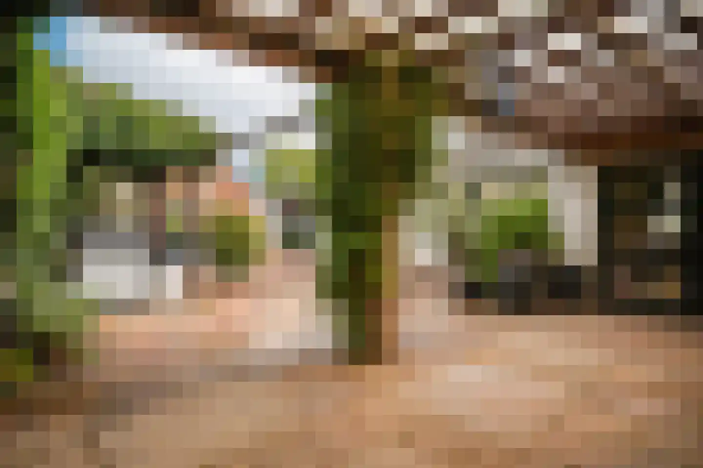 Kerkstraat 4 Batenburg thumbnail 47
