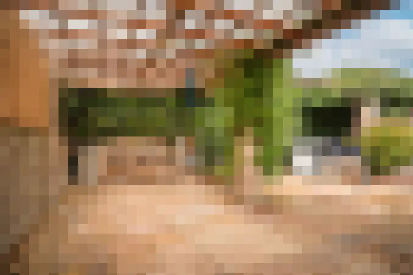 Kerkstraat 4 Batenburg thumbnail 48