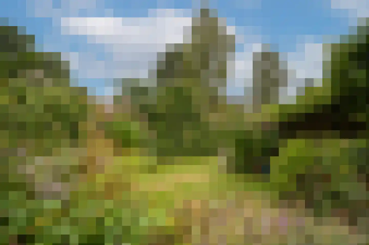 Kerkstraat 4 Batenburg thumbnail 54