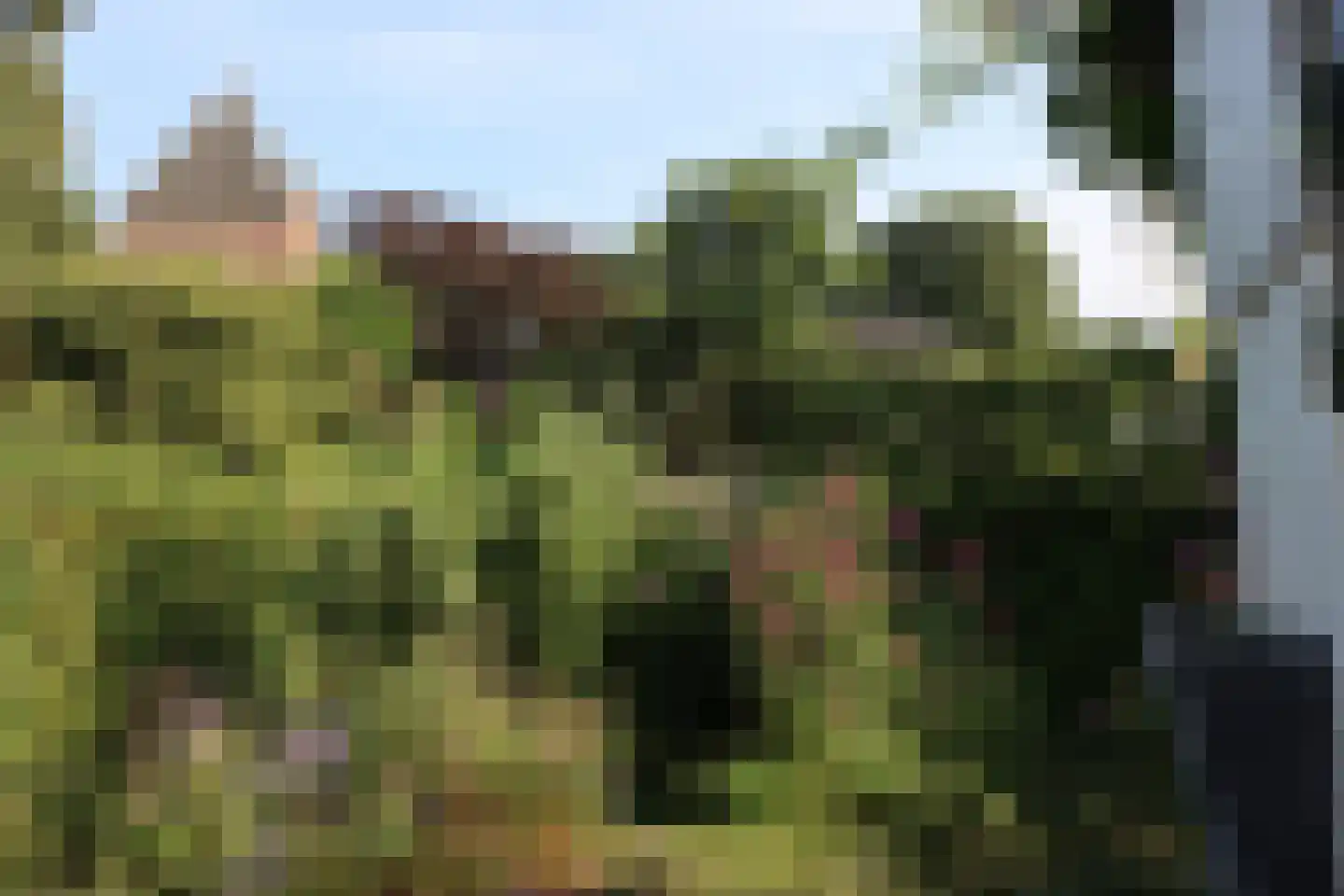 Kerkstraat 4 Batenburg thumbnail 57