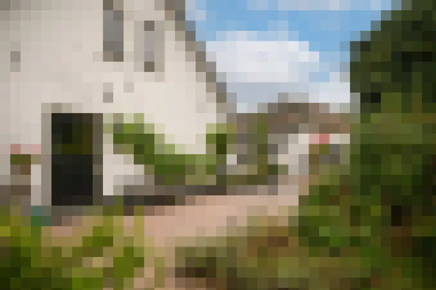 Kerkstraat 4 Batenburg thumbnail 59
