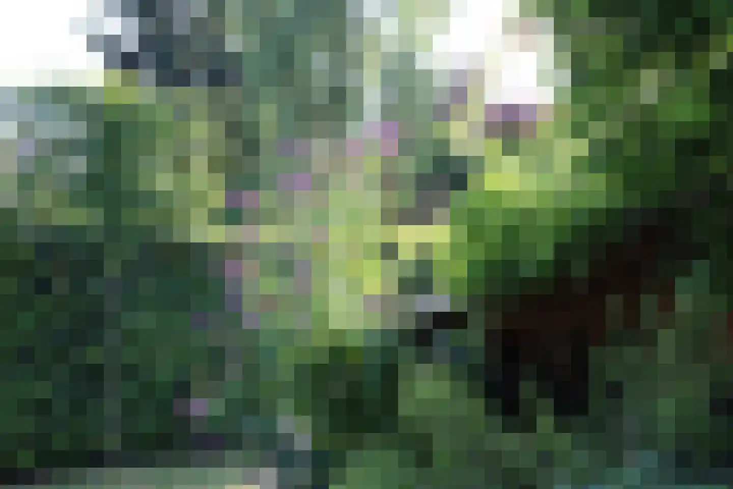 Kerkstraat 4 Batenburg thumbnail 65