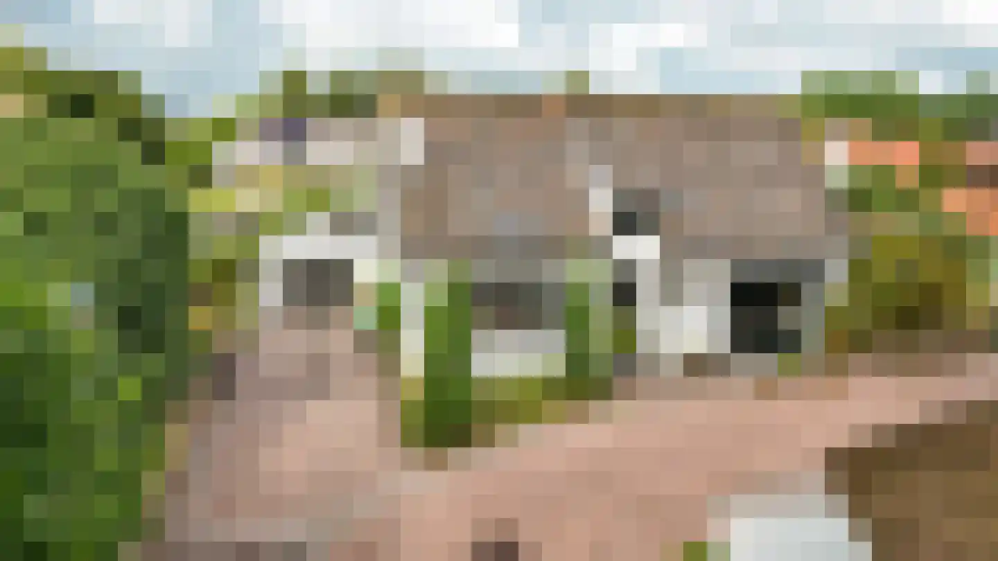 Kerkstraat 4 Batenburg thumbnail 68