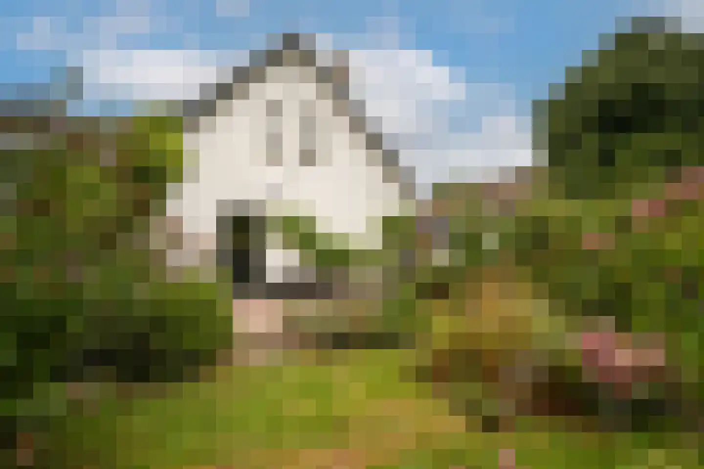 Kerkstraat 4 Batenburg thumbnail 7