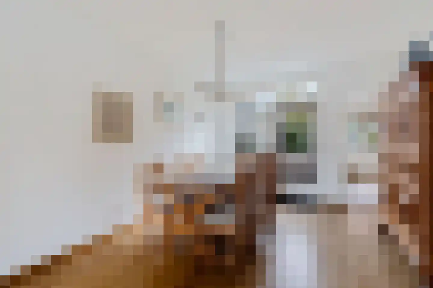 Kerkstraat 4 Berghem thumbnail 10