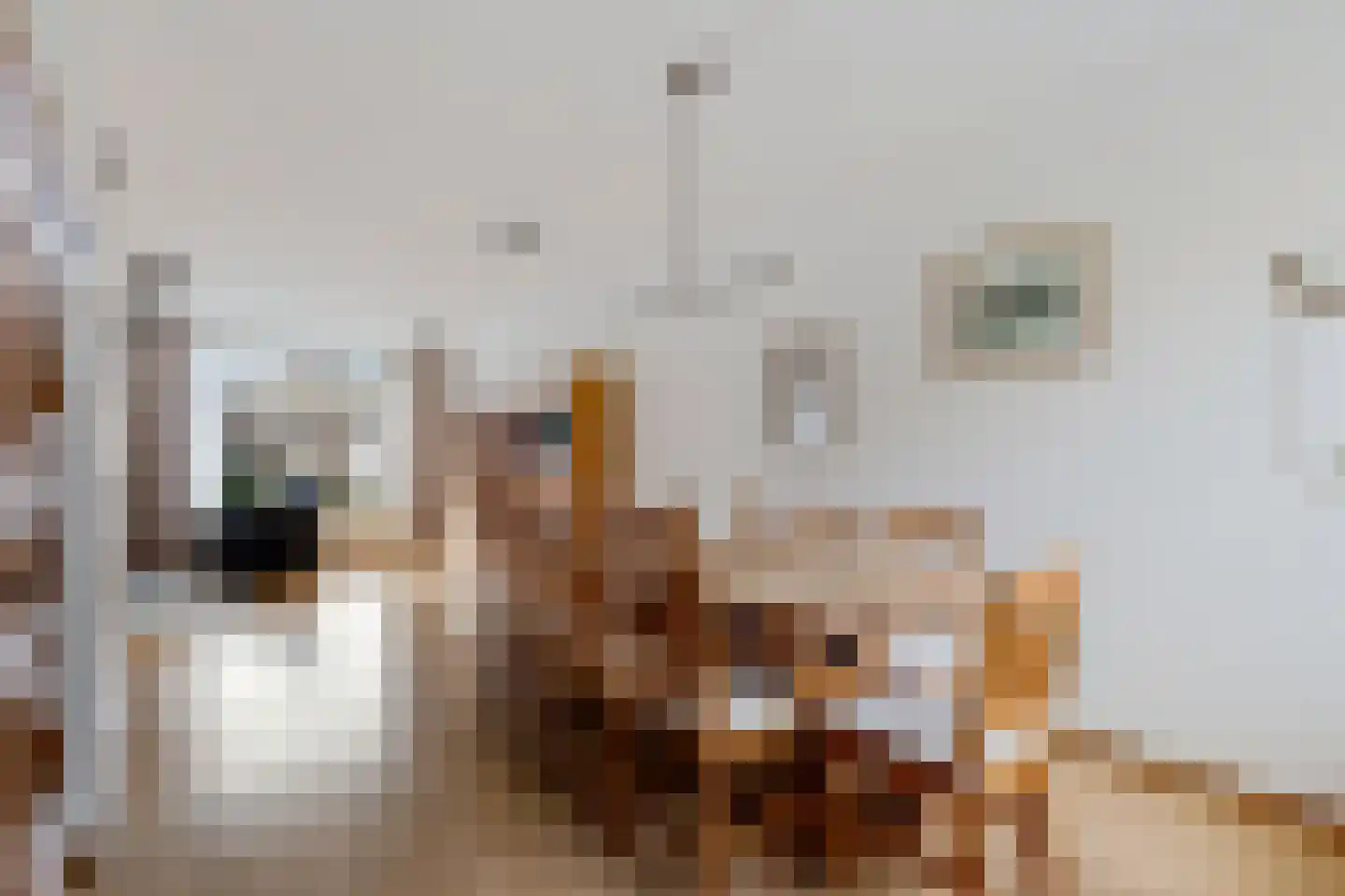 Kerkstraat 4 Berghem thumbnail 11