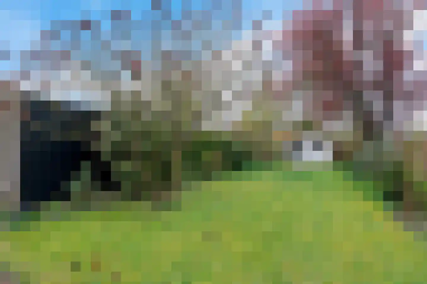 Kerkstraat 4 Berghem thumbnail 35