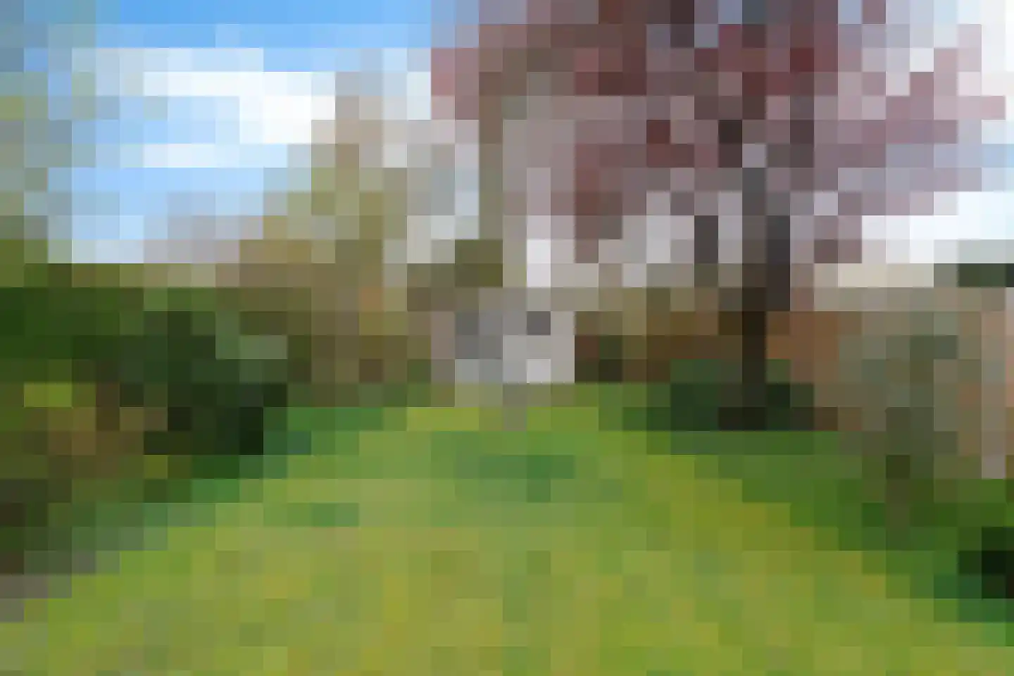 Kerkstraat 4 Berghem thumbnail 36