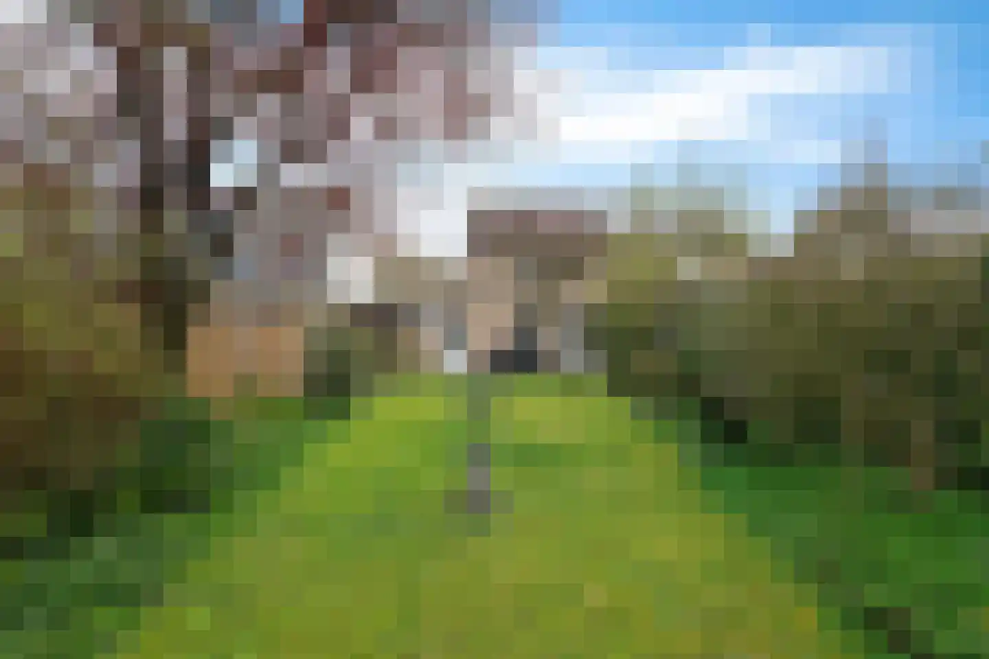Kerkstraat 4 Berghem thumbnail 37