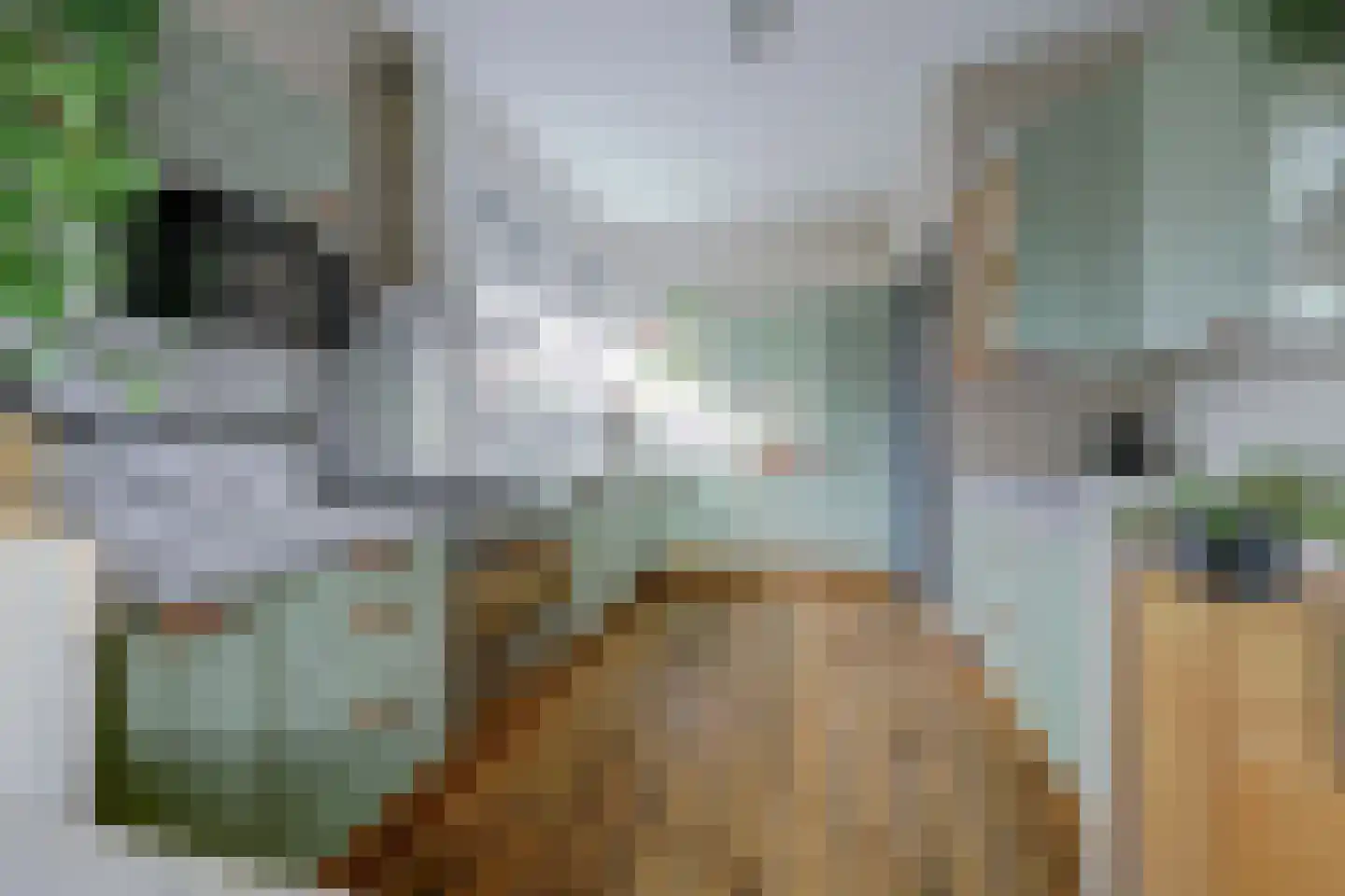 Kerkstraat 4 Bruinisse thumbnail 14