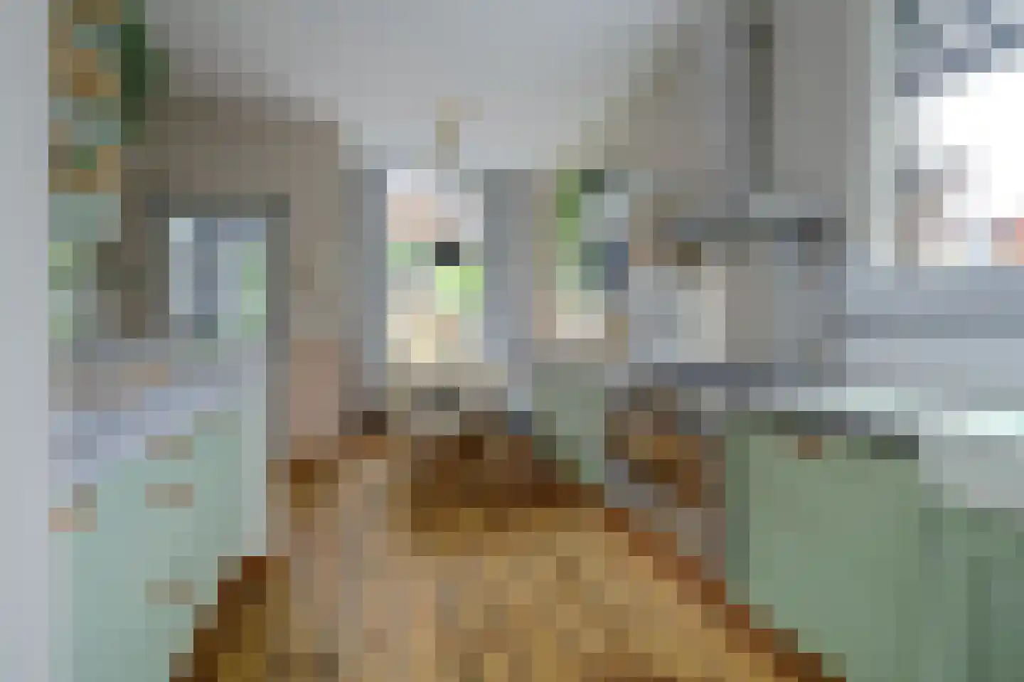 Kerkstraat 4 Bruinisse thumbnail 15