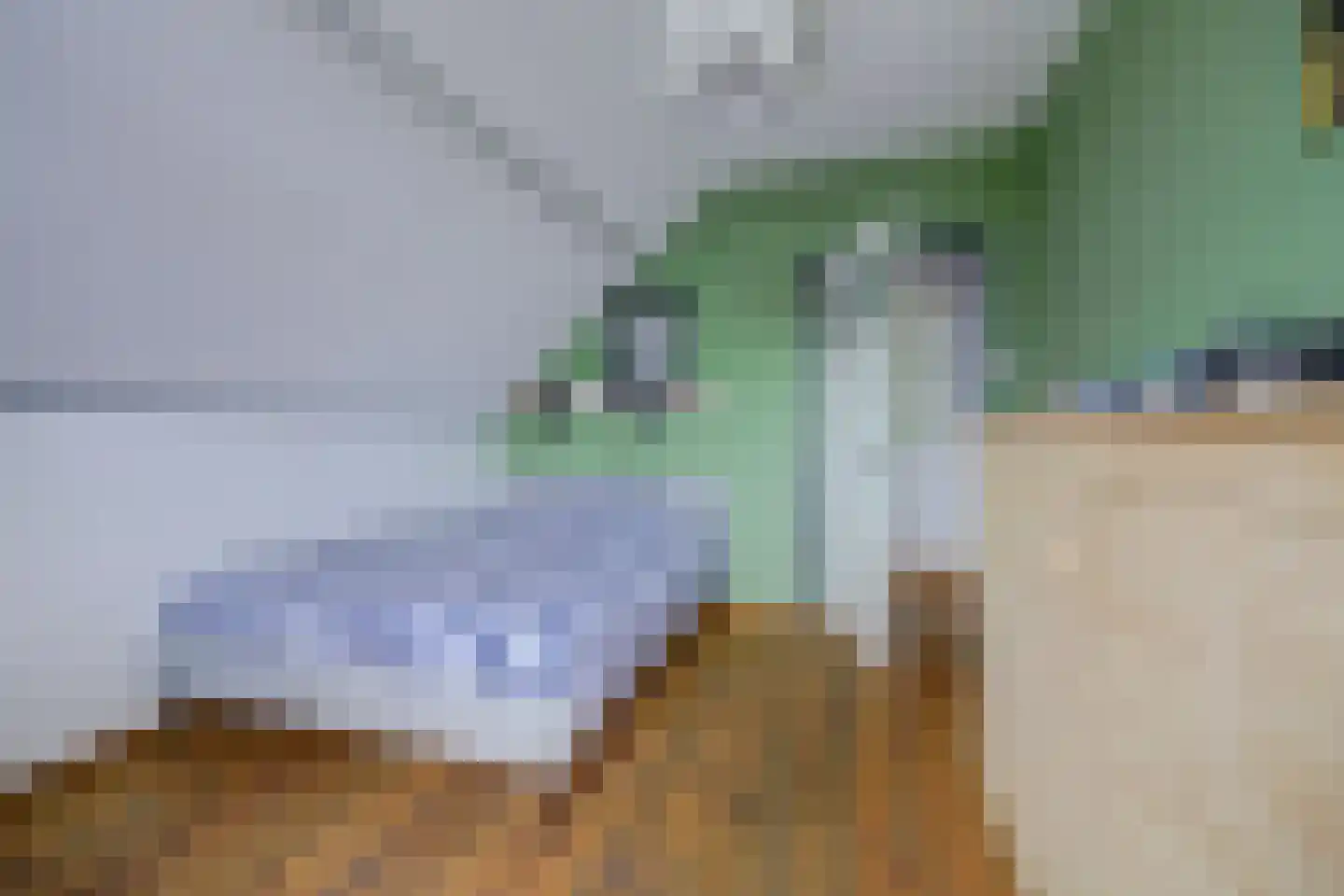 Kerkstraat 4 Bruinisse thumbnail 30