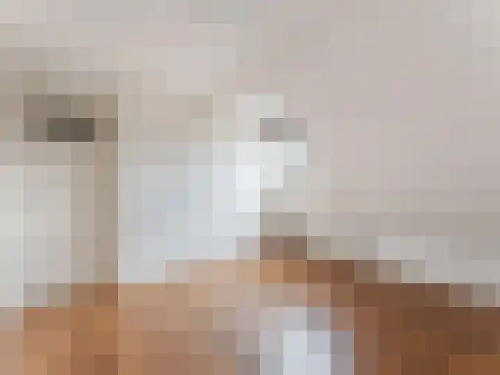 Kerkstraat 4 De Meern thumbnail 25