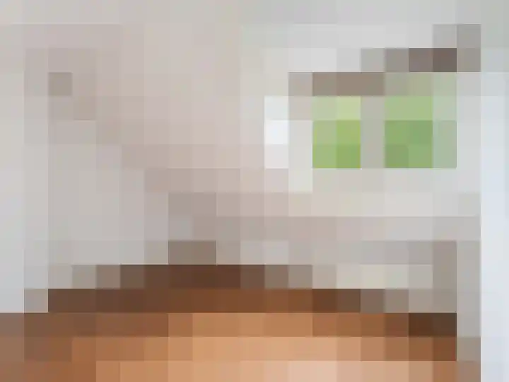Kerkstraat 4 De Meern thumbnail 29