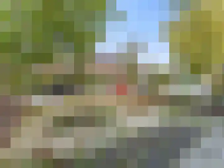 Kerkstraat 4 De Meern thumbnail 36