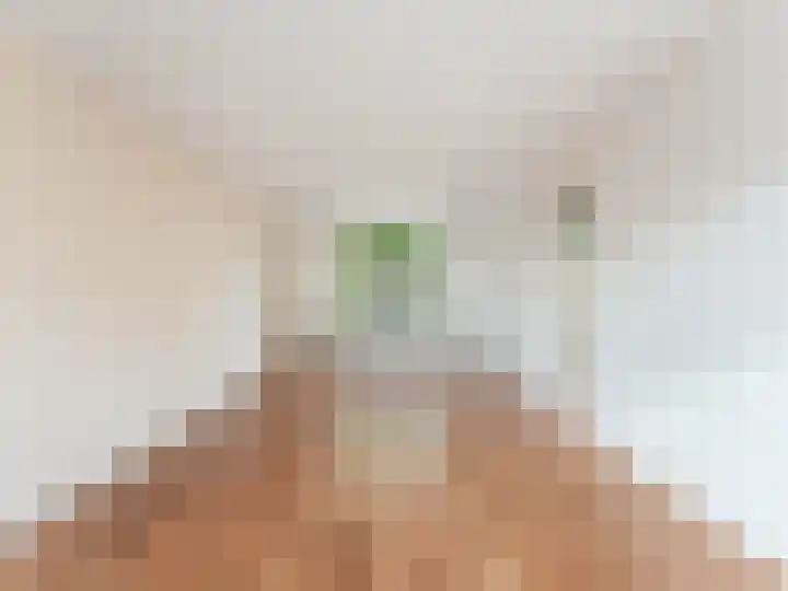 Kerkstraat 4 De Meern thumbnail 5