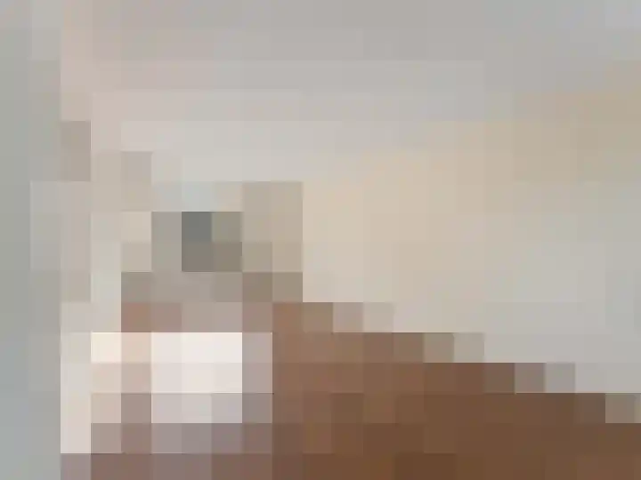 Kerkstraat 4 De Meern thumbnail 6