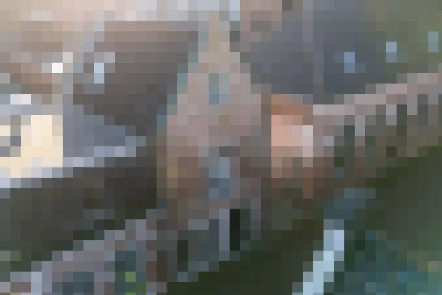 Kerkstraat 4 Dokkum thumbnail 9