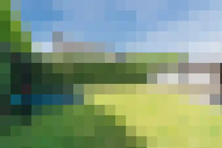 Kerkstraat 4 Eersel thumbnail 40