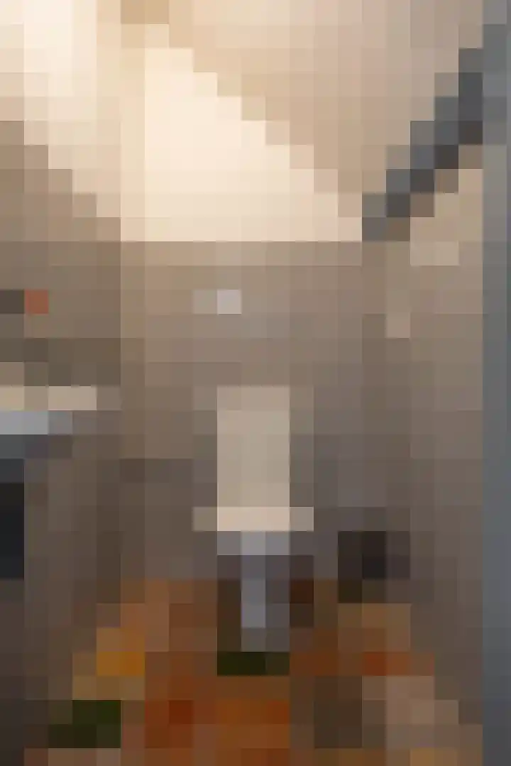 Kerkstraat 4 Eext thumbnail 22