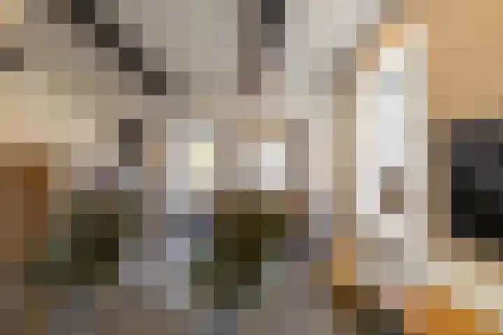 Kerkstraat 4 Eext thumbnail 25