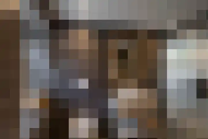 Kerkstraat 4 Eext thumbnail 29