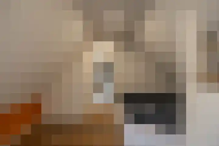 Kerkstraat 4 Eext thumbnail 35