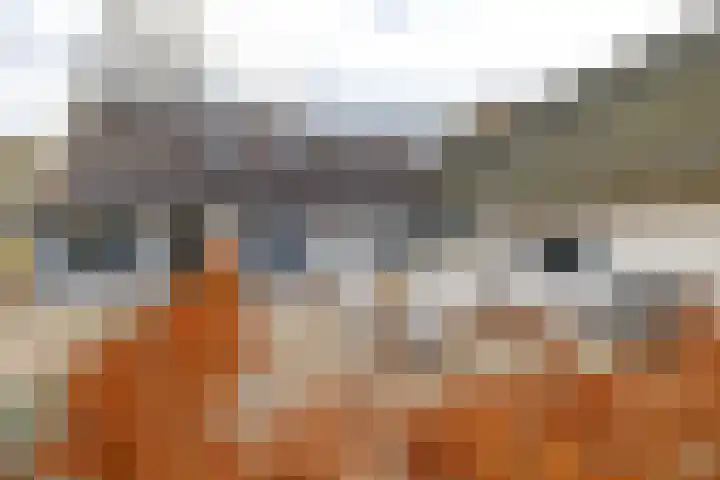 Kerkstraat 4 Eext thumbnail 5