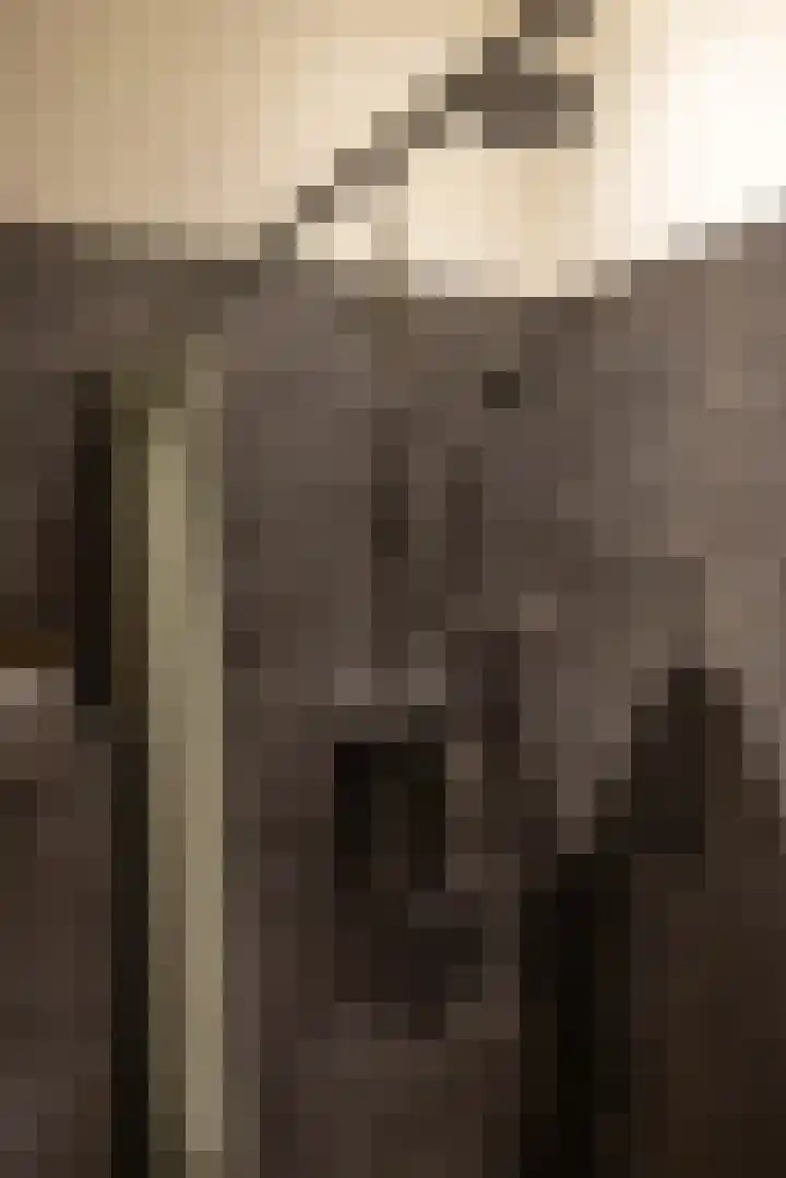 Kerkstraat 4 Eext thumbnail 52