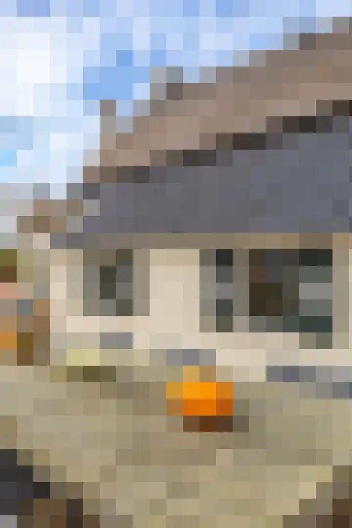 Kerkstraat 4 Eext thumbnail 57