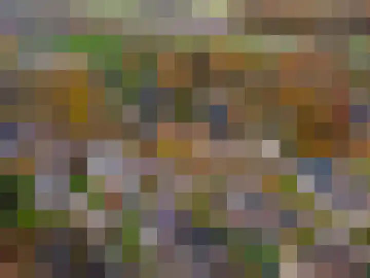 Kerkstraat 4 Eext thumbnail 67
