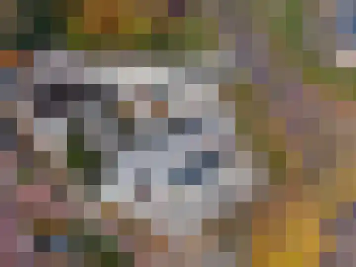 Kerkstraat 4 Eext thumbnail 70