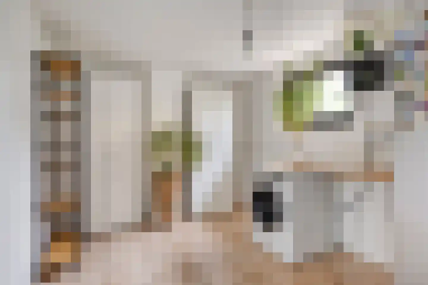 Kerkstraat 4 Grubbenvorst thumbnail 23