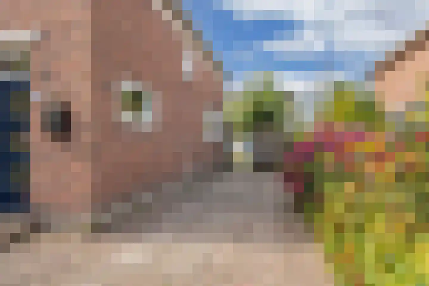 Kerkstraat 4 Joure thumbnail 10