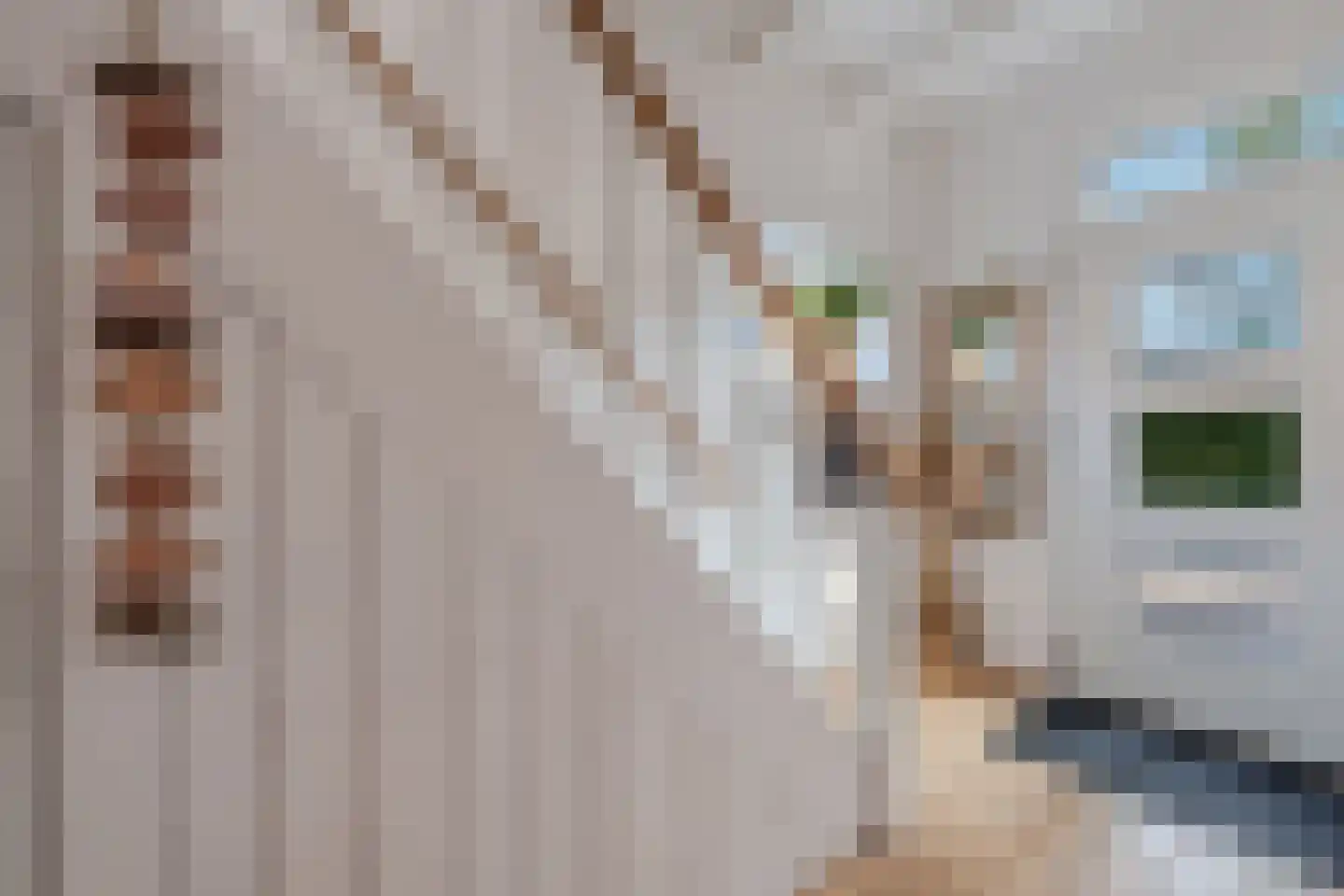 Kerkstraat 4 Joure thumbnail 15