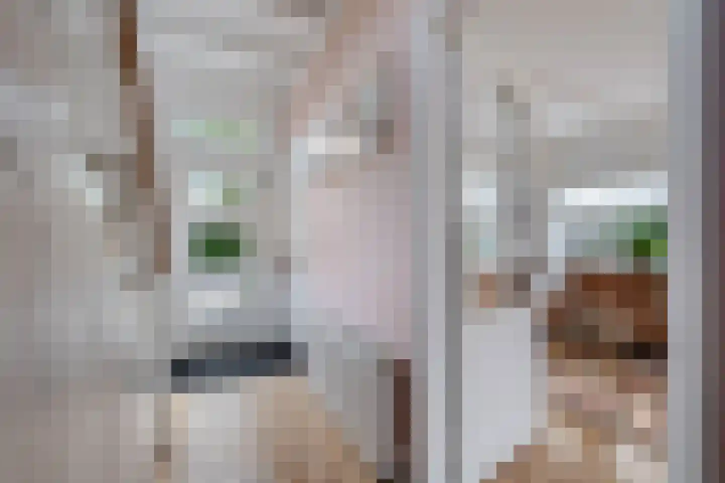 Kerkstraat 4 Joure thumbnail 16