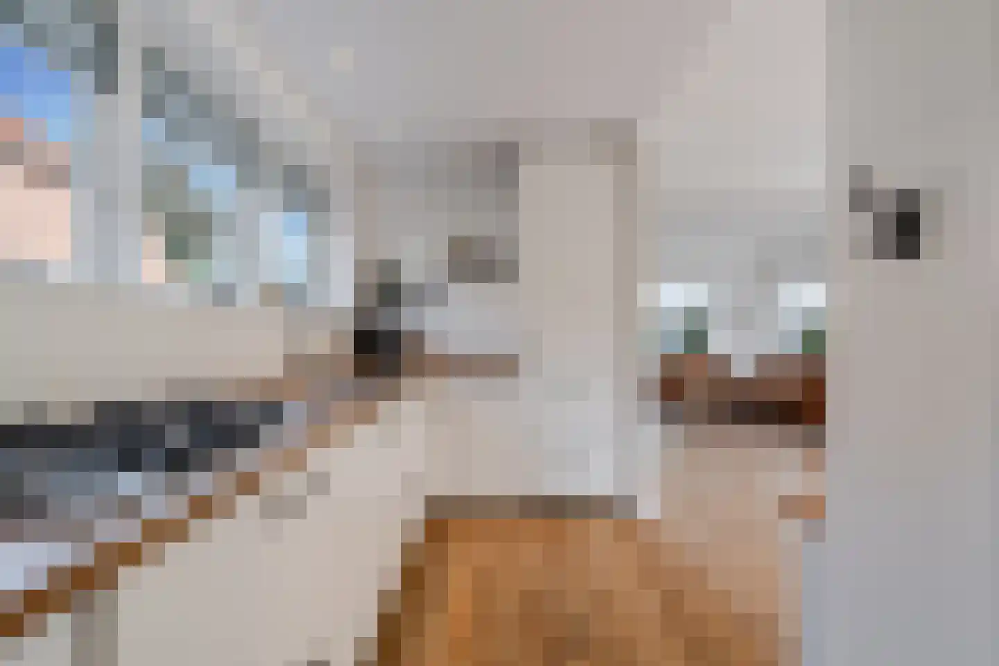 Kerkstraat 4 Joure thumbnail 23