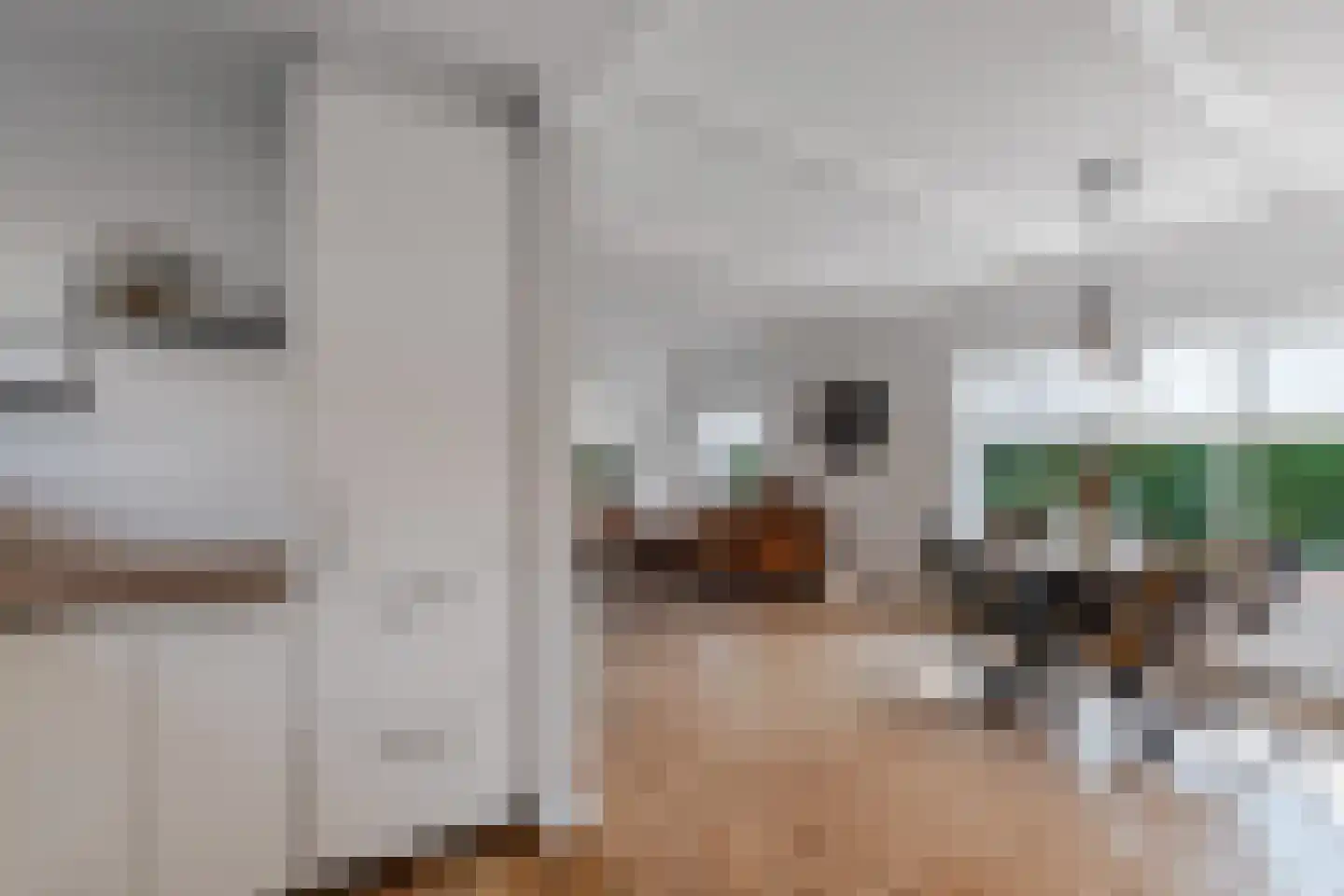 Kerkstraat 4 Joure thumbnail 24